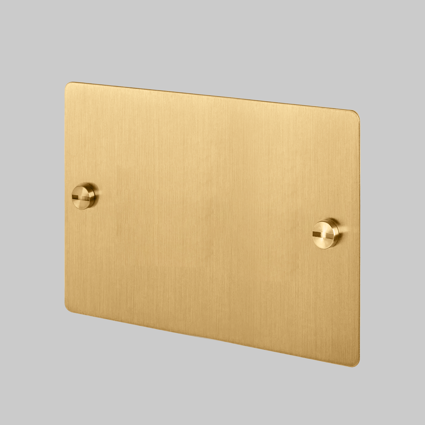 BRASS SOCKET COVER PLATE