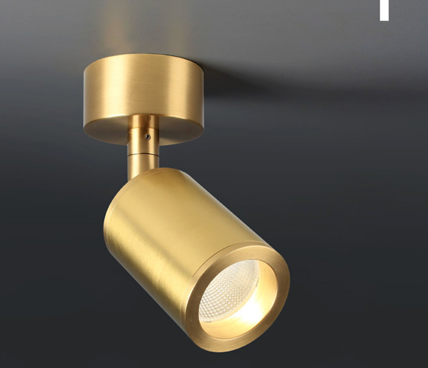 Bendith Spot Light